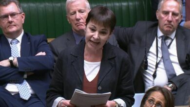 Caroline Lucas to step down as Green Party’s only MP