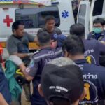 Bear horror: Man loses eye in villagers&#8217; forest foraging encounter | Thaiger