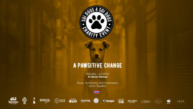 Soi Dogs 4 Soi Dogs: Music and humanity unite for animal welfare | Thaiger