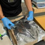 Thai ONCB thwarts 35 drug smuggling attempts to Australia | Thaiger