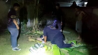 Woman’s fall from third floor meets ‘slippery’ rescue on banana tree in Thailand