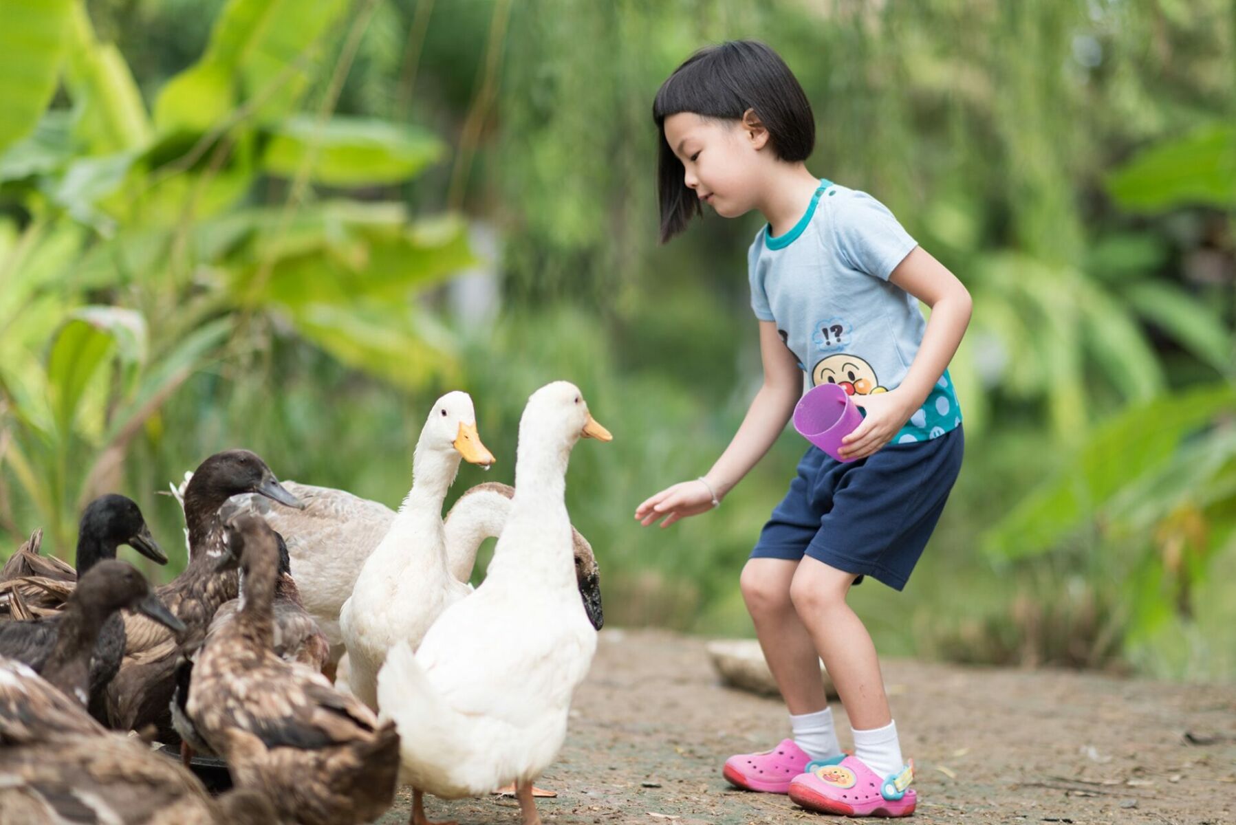 5 best kindergartens in Bangkok | News by Thaiger