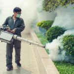 Thailand braces for 150,000 dengue fever cases | Thaiger