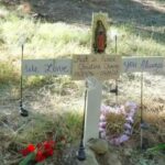 Tragic lawnmower accident kills sleeping woman in California park | Thaiger