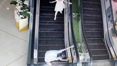 9 year old heroine prevents escalator tragedy with swift emergency stop action