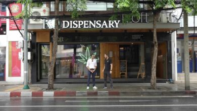 Go green, go local at KQ Dispensary, Bangkok | Thaiger