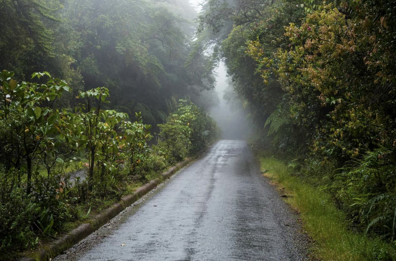 What you need to know about the monsoon season in Thailand | Thaiger