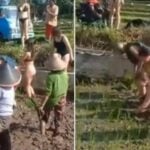 Bikini-clad women helping Bali farmers sparks online controversy | Thaiger