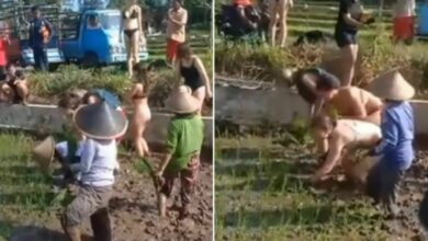 Bikini-clad women helping Bali farmers sparks online controversy
