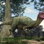Jurassic spark: Doctoral student unearths dinosaur fossils at iconic excavation site in Thailand | Thaiger