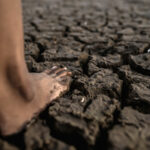 Warning issued over &#8216;soil fever&#8217; surge amid rainy season in Nakhon Ratchasima | Thaiger