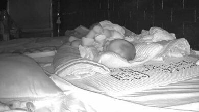 5-month old baby astonishes by feeding itself, caught on home CCTV (video)