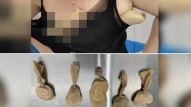 Sneaky slither: Customs officers uncover woman smuggling 5 snakes in her underwear