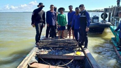 Illegal scallop fishing operation smashed in Trat, culprits face legal proceedings