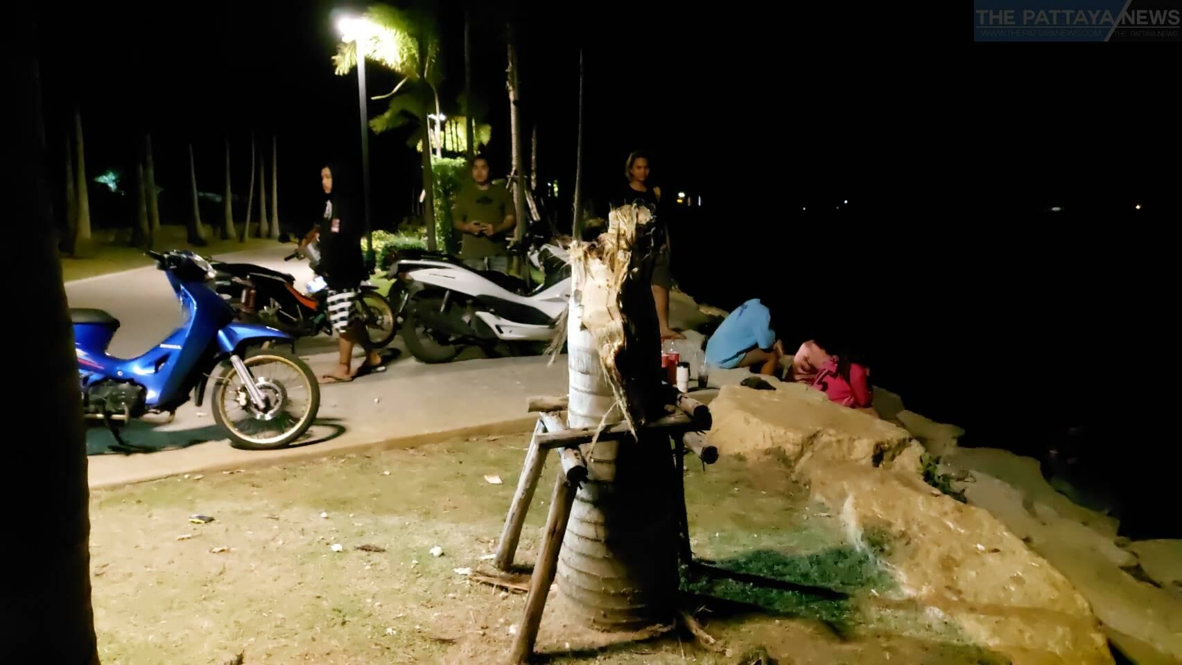 Unruly youths unleash graffiti mayhem and tree-molition in Pattaya (video) | News by Thaiger