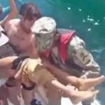 US tourist survives ferocious shark attack while snorkelling off Galapagos Islands | Thaiger