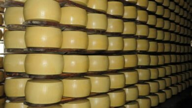 Italian dairy owner crushed to death by cheese wheels
