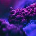 Chiang Mai faces dual health threat: Monkeypox cases and rising dengue fever | Thaiger