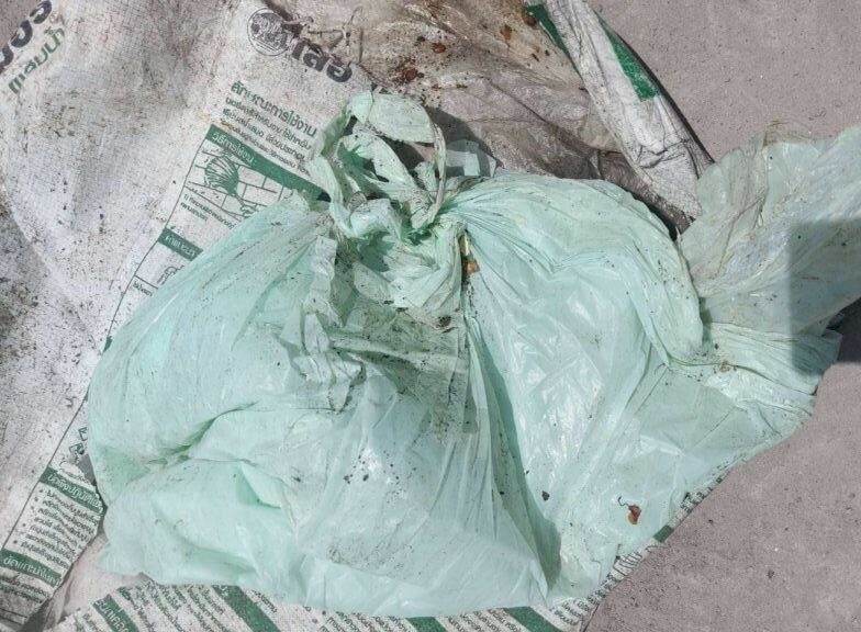 Foreigner body parts in trash bags Koh Pha Ngan