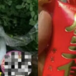 Twist of fate: Bangkok daughter-in-law&#8217;s surprise &#8211; sweet not sour from mother-in-law&#8217;s purse | Thaiger