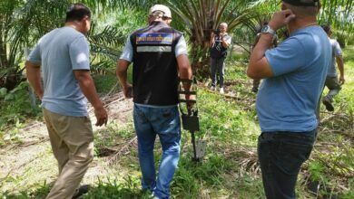 Trang plantation owner surrenders after fatal shooting of alleged thief | Thaiger