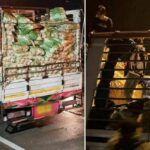 Vegetable truck found smuggling 52 illegal immigrants in western Thailand | Thaiger