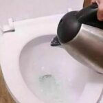 Hotel workers: guests should pour boiling water into toilet for hygiene | Thaiger