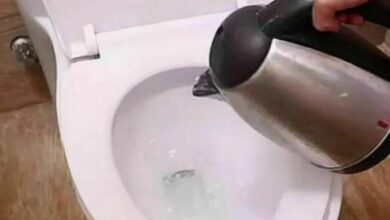 Hotel workers: guests should pour boiling water into toilet for hygiene