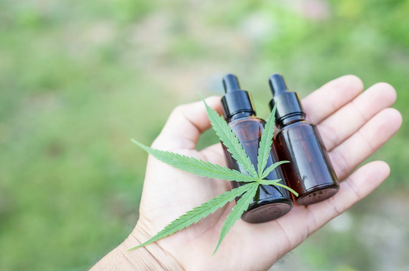 CBD vs. THC, what you need to know | News by Thaiger