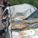 Falling tamarind tree kills driver, severely injures wife in Khon Kaen | Thaiger