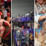 What to do in Bangkok this weekend (August 11 &#8211; 13) | Thaiger