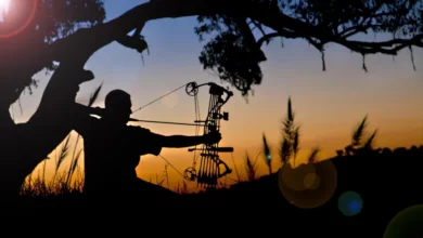 Hit the bullseye with Bangkok’s archery scene