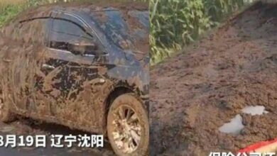 Smelly situation: Car rear-ended by manure hauler leaves Chinese man in a mess