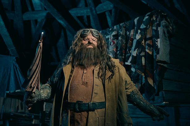 Harry Potter fan brews up a scandal: Hagrid-lookalike spotted in street love potion mishap (video) | News by Thaiger