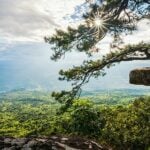 ASEAN Heritage Parks status granted to three Thai nature reserves | Thaiger