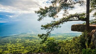 ASEAN Heritage Parks status granted to three Thai nature reserves