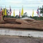 Rosewood heist: Kalasin governor on trail of million-baht theft culprits | Thaiger