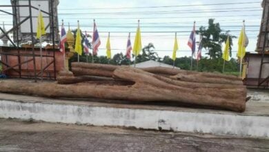 Rosewood heist: Kalasin governor on trail of million-baht theft culprits