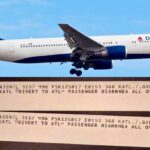 Delta flight forced to turn back due to biohazard diarrhoea incident | Thaiger
