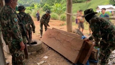 Rosewood racket busted: Task force and national park collaborate to thwart illegal loggers in northern Thailand