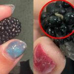 Fruit jelly jolt: Wormy surprise in popular brand&#8217;s treat leaves customer queasy | Thaiger