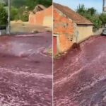Wine flood submerges Portuguese town after 2.2 million-litre tanks bursts | Thaiger