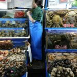 Thailand&#8217;s FDA conducts seafood safety tests on Japanese seafood for radiation amid nuclear water discharge concerns | Thaiger
