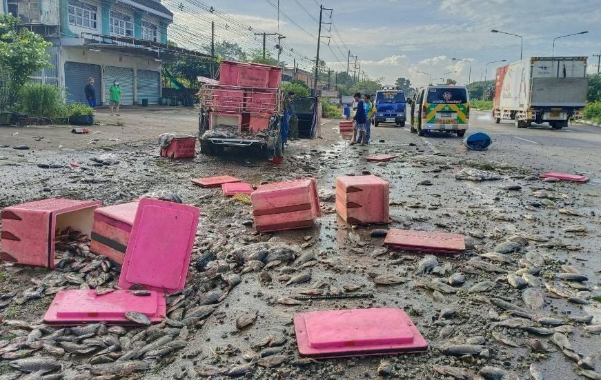 Fishy business: Tyre blowout flips lorry in east Thailand