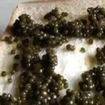 Unexpected generosity: Penny-pinching Vietnamese mother-in-law treats grandchildren to caviar | Thaiger