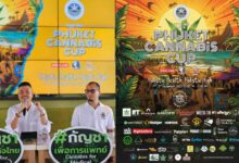 No foreigners receive yellow or red cards in April, reports Phuket Immigration | News by Thaiger