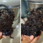 Consumer finds unidentifiable object in FDA-approved seaweed soup | Thaiger