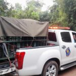 Black bear caught after stealing food from local in central Thailand (video) | Thaiger