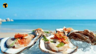 5 must try beachfront restaurants in Koh Samui | Thaiger