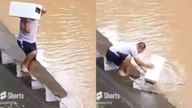 Fish store shocker: Customer buys out entire stock, sets them free in Singapore river